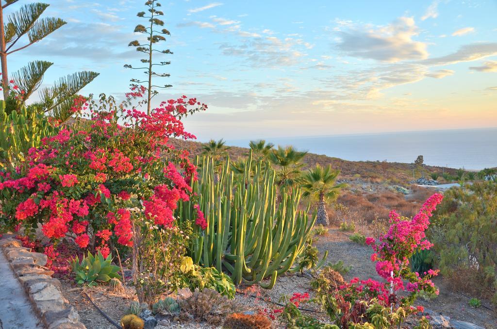 Finca La Tosca Guía de Isora Εξωτερικό φωτογραφία